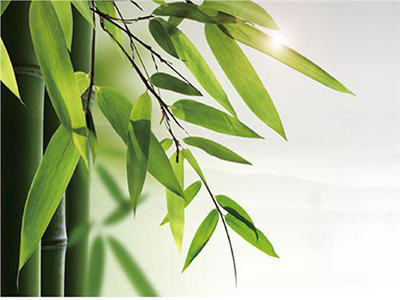 主な共同作業 To 開発を促進する Of 竹産業
